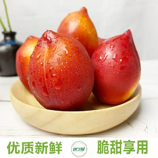  5斤现货新鲜油桃当季特产桃子上海发货