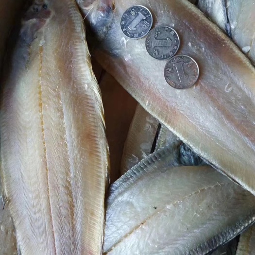 滨州舌头鱼