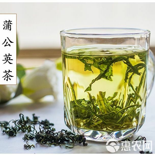 蒲公英茶50克长白山蒲公英凉茶