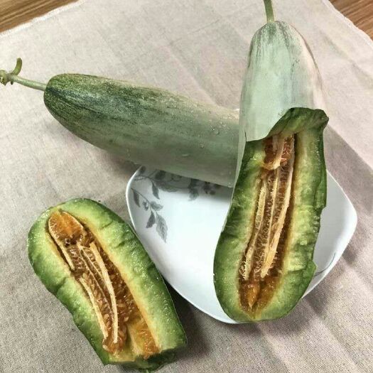 莘县博洋61甜瓜 0.5斤以上