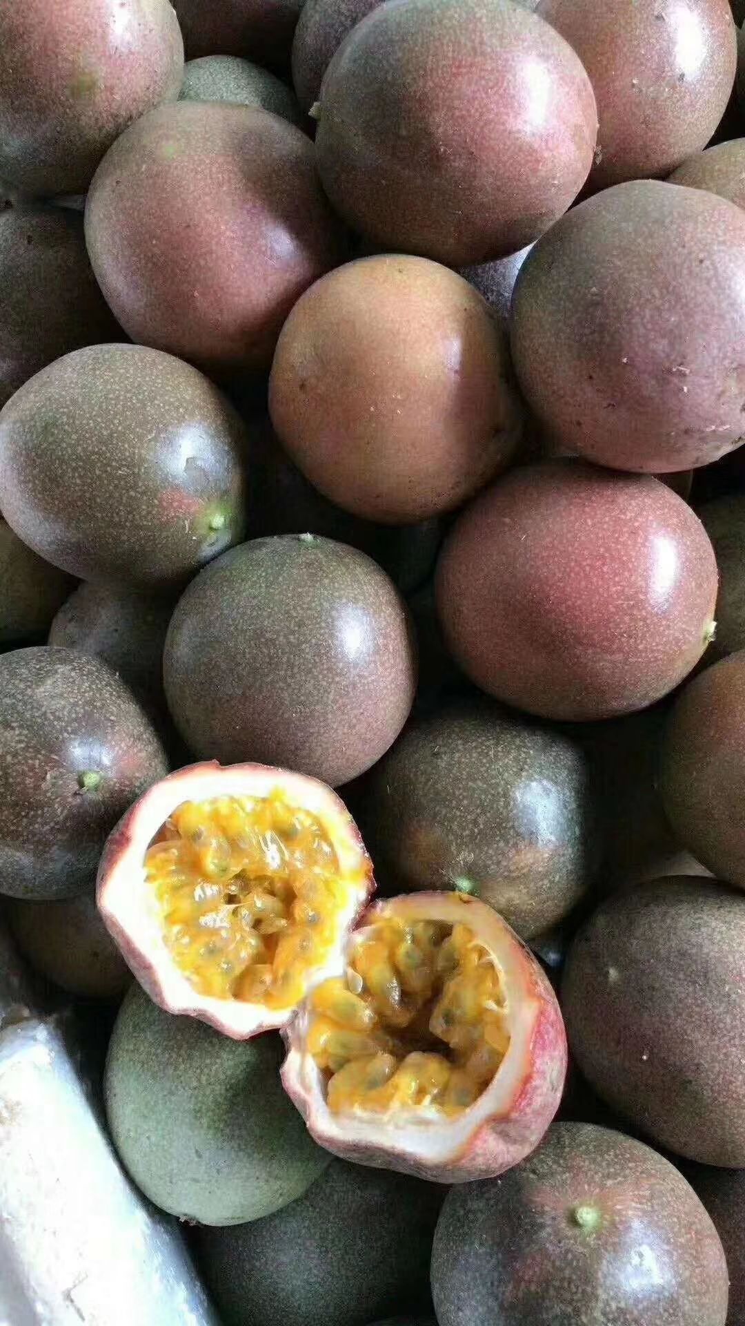 紫红色百香果 果靓，大