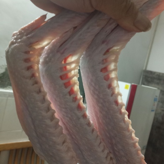 佛山 正宗黑棕鹅翅