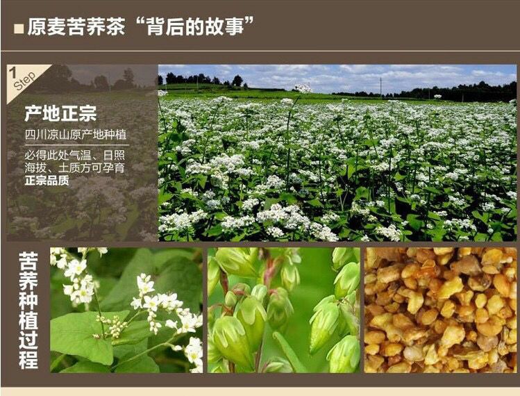 涼山苦蕎茶500克大容量 蕎麥茶通排茶黃苦蕎