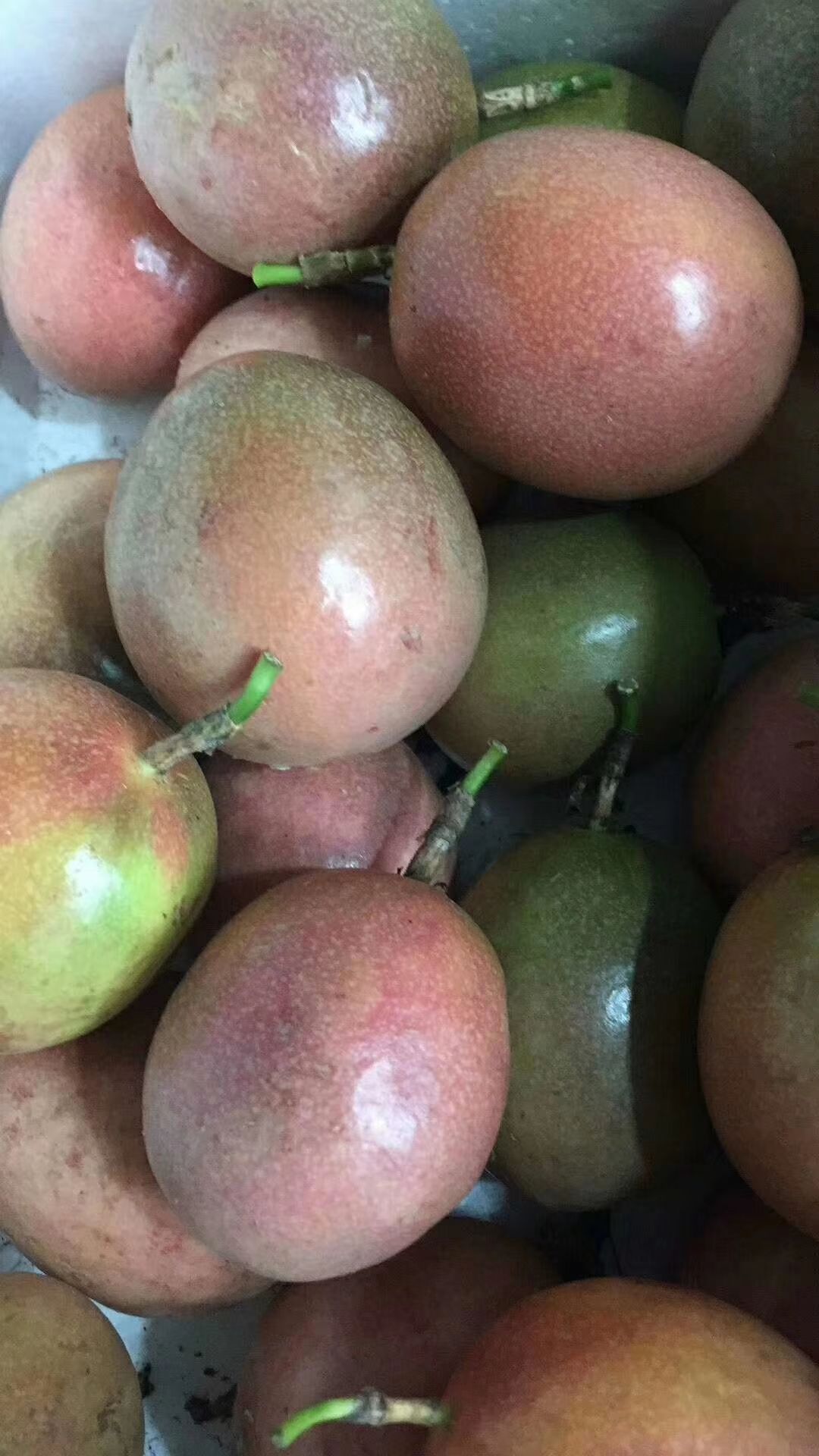 紫红色百香果 果靓，大