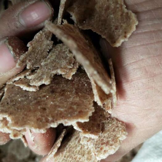 温县花生饼饲料  小油坊纯仁一级花生饼