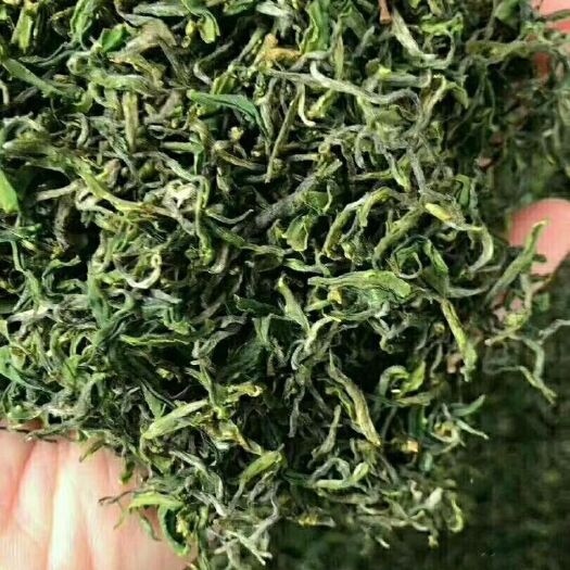 青岛 崂山绿茶