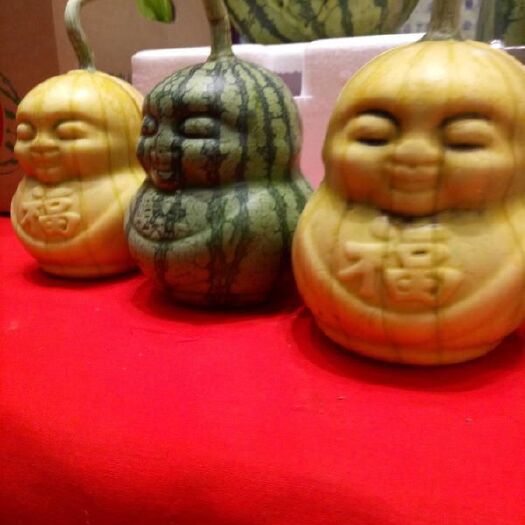 夏县 夏乐西瓜，夏宝西瓜，甜蜜蜜西瓜，都有货