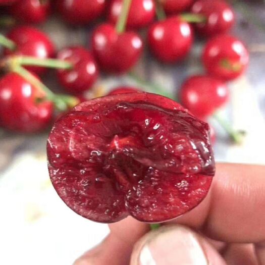 烟台美早樱桃  烟台福山大樱桃美早