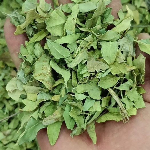 中药材花茶 罗布麻叶 罗布麻茶，