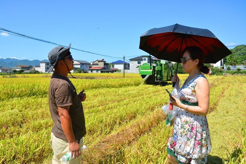 富硒大米 云山米