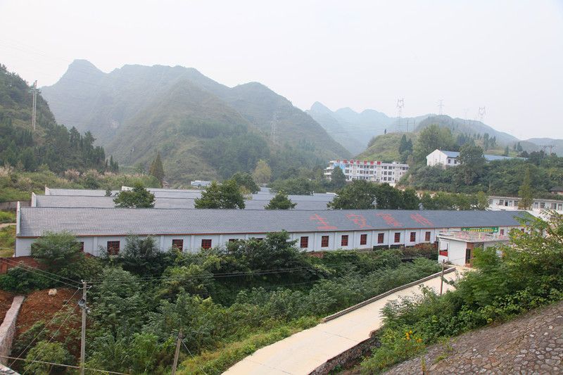  富硒土鸡蛋