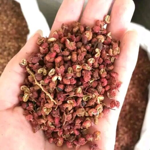 自贡大红袍花椒 特级 干花椒 