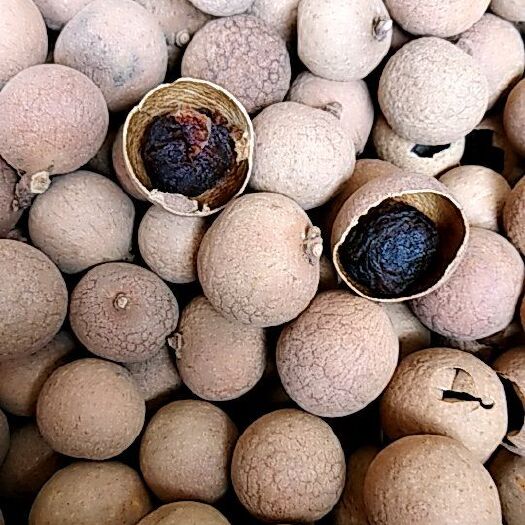 乐清市 桂圆干龙眼干