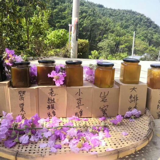 勐海县 野生蜂蜜