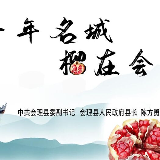 会理市会理石榴 0.6 - 0.8斤