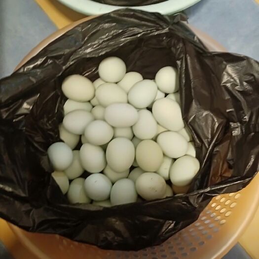 宁乡市土鸡蛋 从未喂过饲料，纯绿色食品