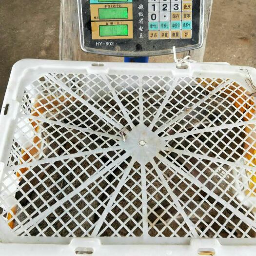 余干县 兔子肉兔