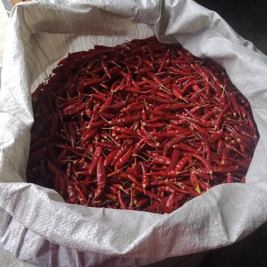 余庆县艳椒425干辣椒 艳椒
