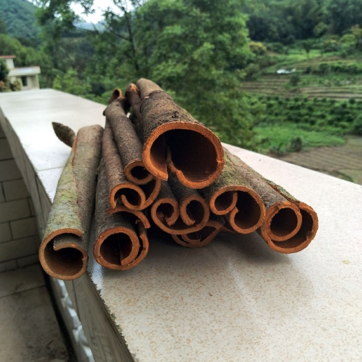 郁南县普通桂皮 本地特产肉桂，皮厚香辣，种植历史悠久。