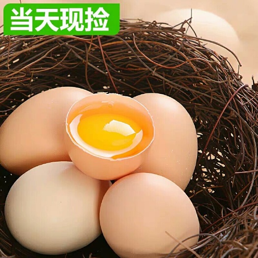 岳西县 正宗 土鸡蛋 ！需要真货的请联系！