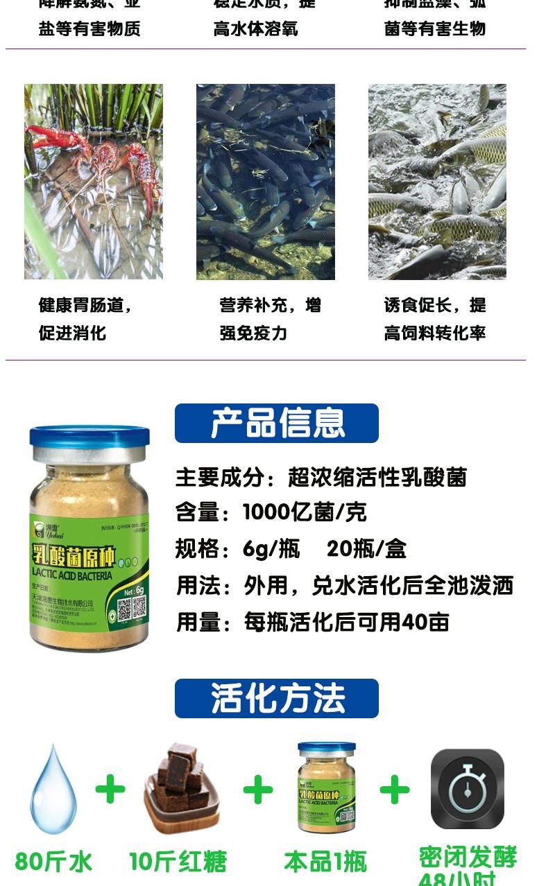 养殖EM菌液 水产乳酸菌原种1瓶可以用40亩改善肠道诱食促长