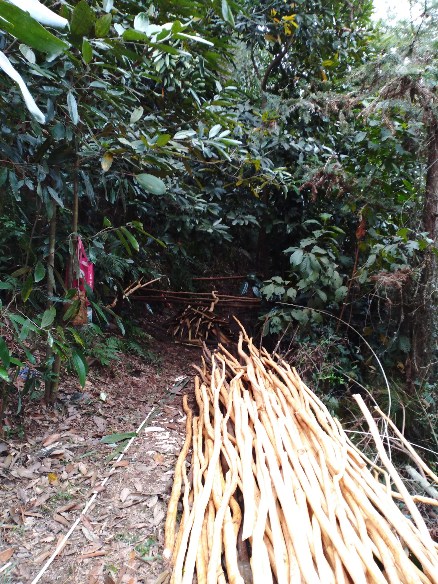  中药材桂皮，干货香料《省内包邮》