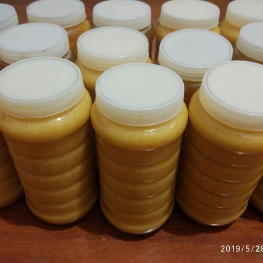 奉节土蜂蜜 塑料瓶装 2年 