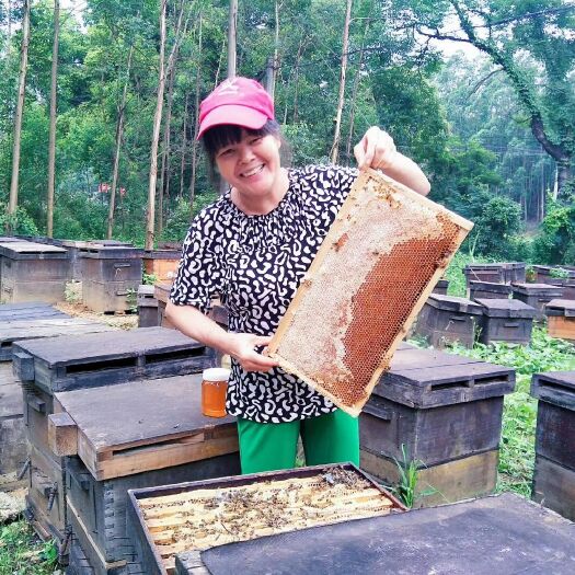南宁意蜂蜂蜜 塑料瓶装 2年 90%以上