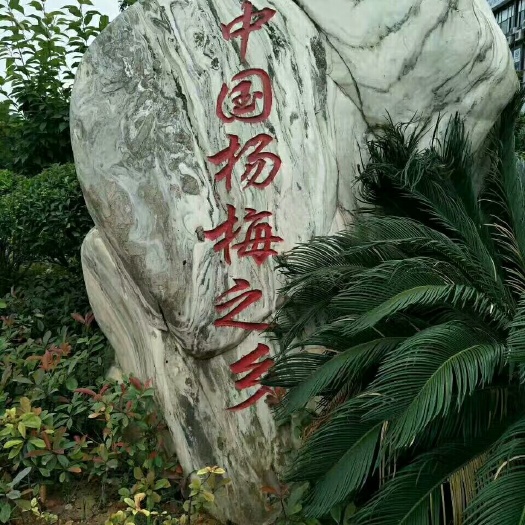 靖州县靖州杨梅 2.5 - 3cm