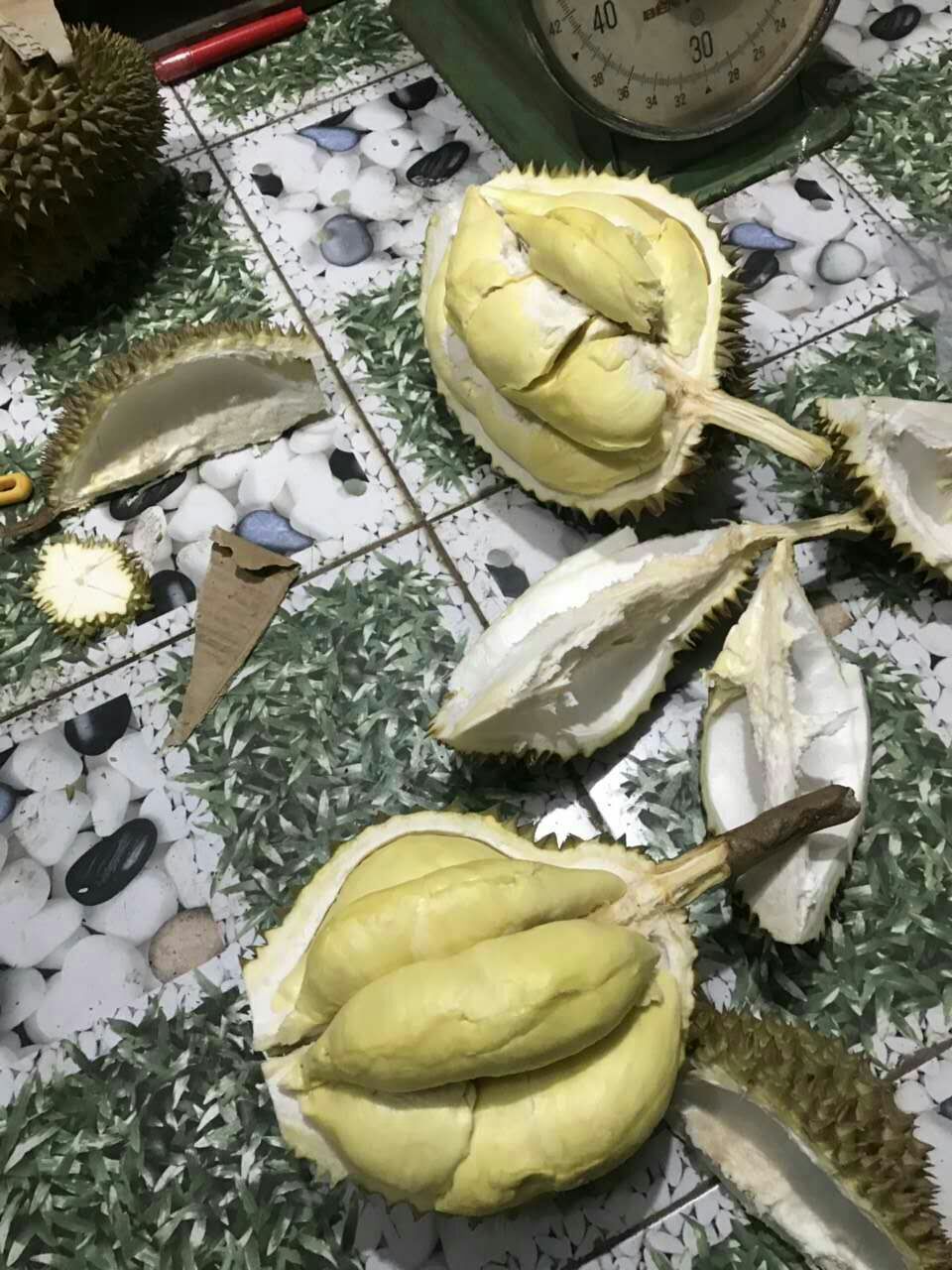 泰国金枕榴莲，味道可佳，6月1日到960件订购欢迎新老客户