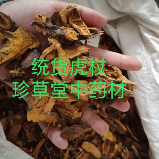 虎杖批发零售各种规格中药材