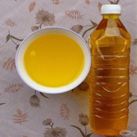 通道县野生山茶油