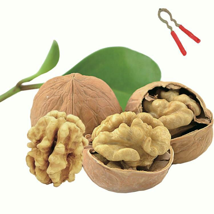  泰山核桃薄皮核桃山核桃纸皮核桃老人孩子零食坚果，