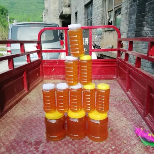 凤县 新蜂蜜刚下来，