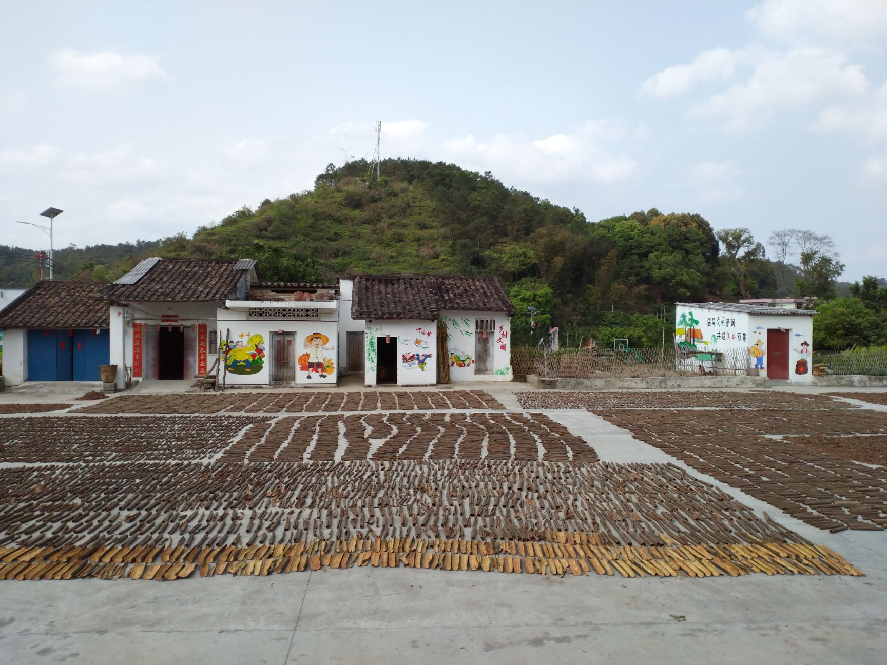  中药材桂皮，干货香料《省内包邮》