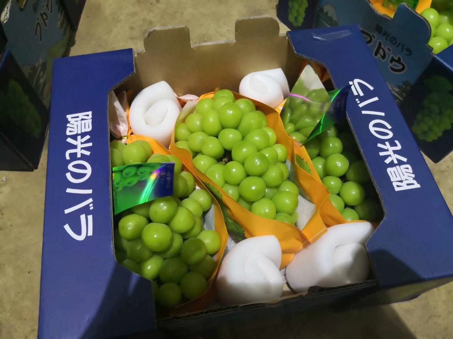  水晶葡萄，阳光玫瑰