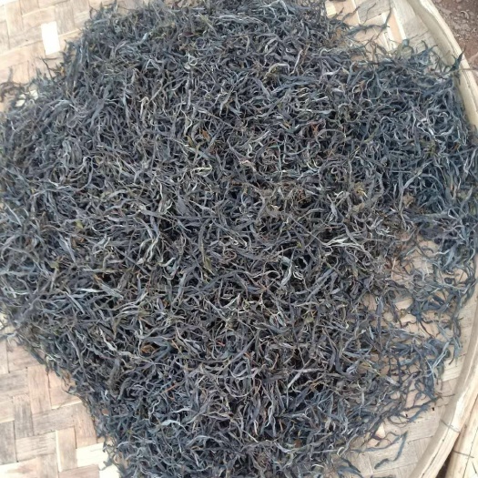 勐海县云南绿茶 云南普洱高山南糯山生态古树茶