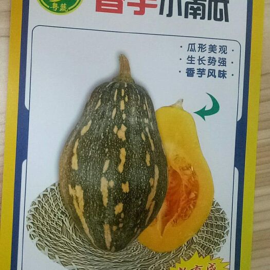 阳江香芋南瓜种子 香芋南瓜