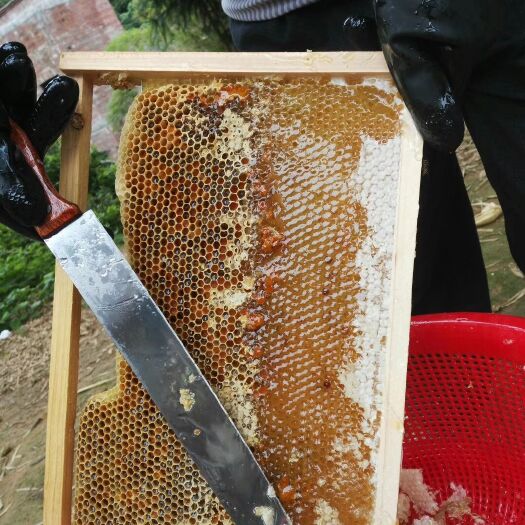 龙川县百花蜜 天然绿色剂食品，好蜜在这里。欢迎订购