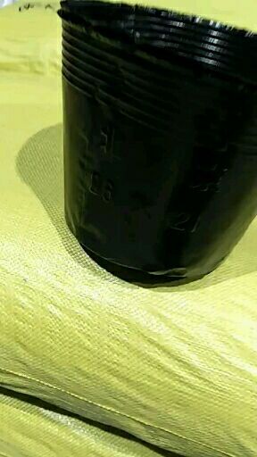 玉田县营养钵/营养杯 库存充足，需要的联系，价格优惠