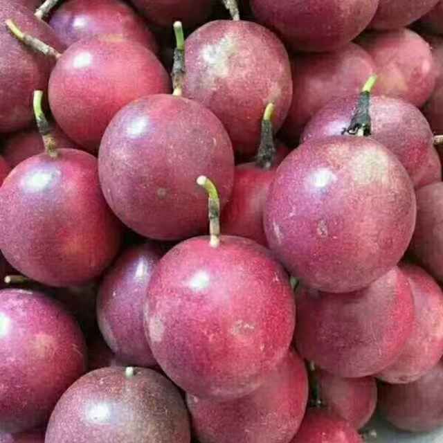 百香果哪里有卖 - 百香果货源 -百香果图片\/价格