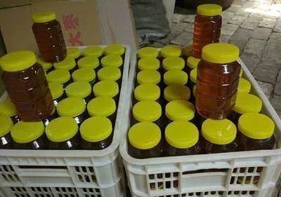泗水县土蜂蜜 中蜂土蜜