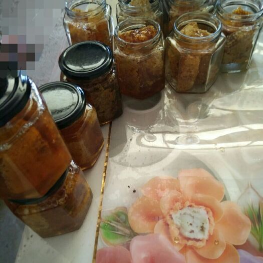 芒市土蜂 蜂巢蜜