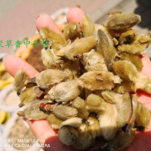 安国市辛夷花 通货 选货 都有