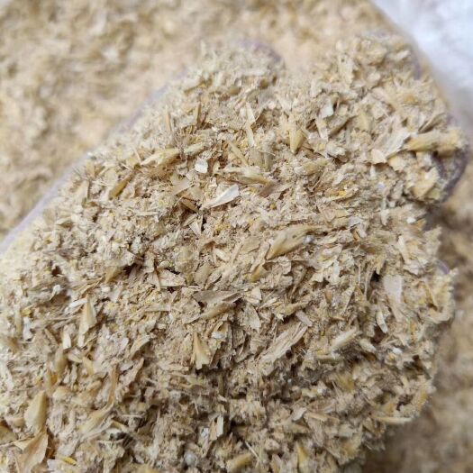 巨鹿县糠麸饲料 熟麦皮