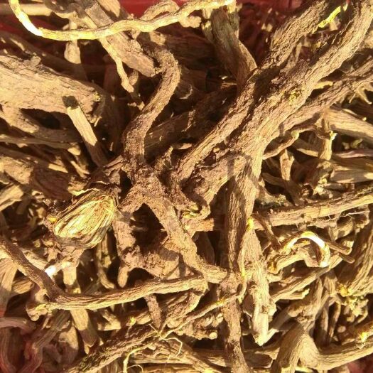 平邑县黄芩 大量供黄苓和地产中药材