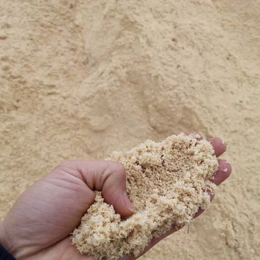 莘县锯木糠 木屑供应锯末供应常年现货供应山东木屑江苏木屑锯末覆盖全国木屑