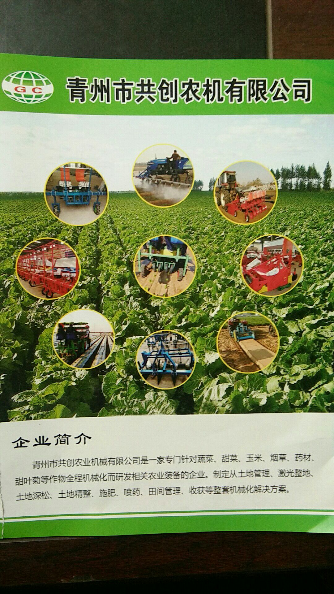 不限品种