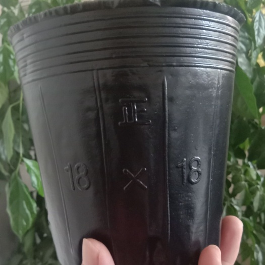 花盆  营养杯，各种型号包邮接单当天发货！快递包邮！尺寸准确