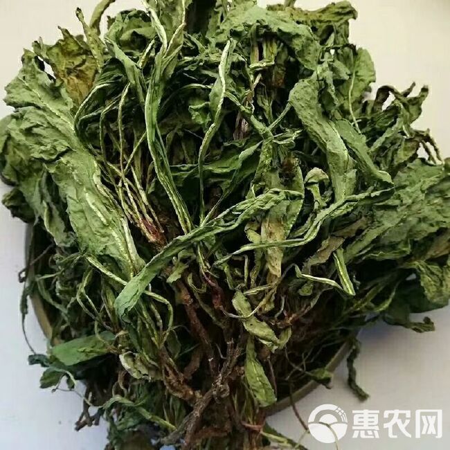 花草茶  蒲公英 茶男人健体茶